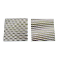  Extruded Ceramic Filter 